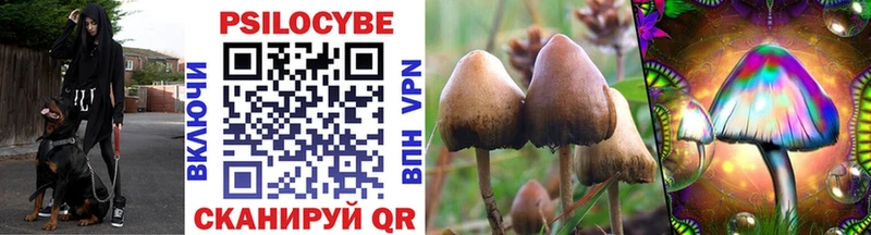 Псилоцибиновые грибы мухоморы Реж