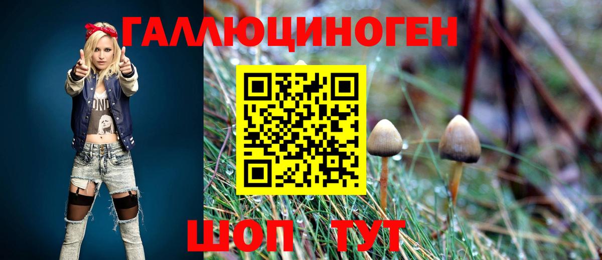 Псилоцибиновые грибы Magic Shrooms  Вход с VPN  Реж 